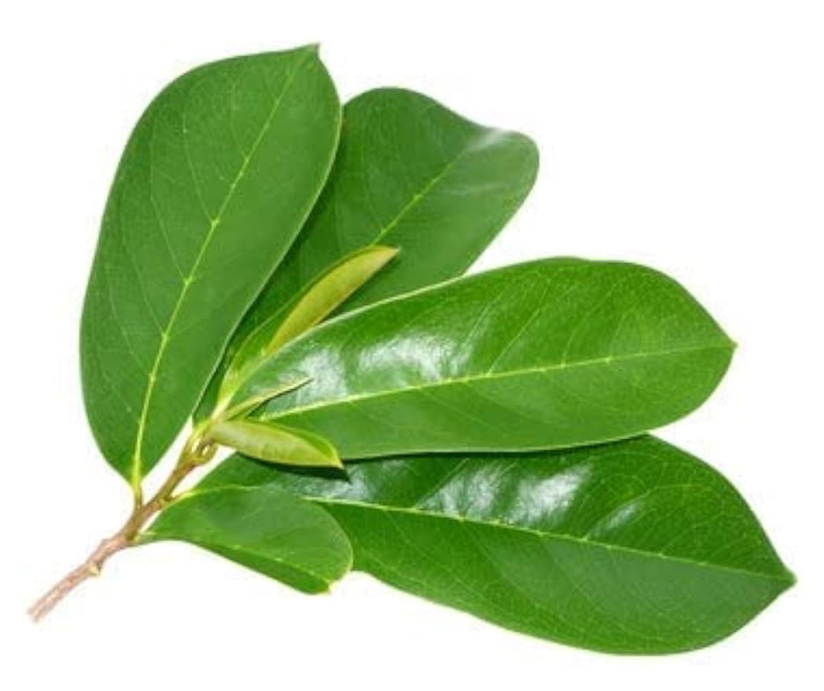 Organic Mulseetha Leaves