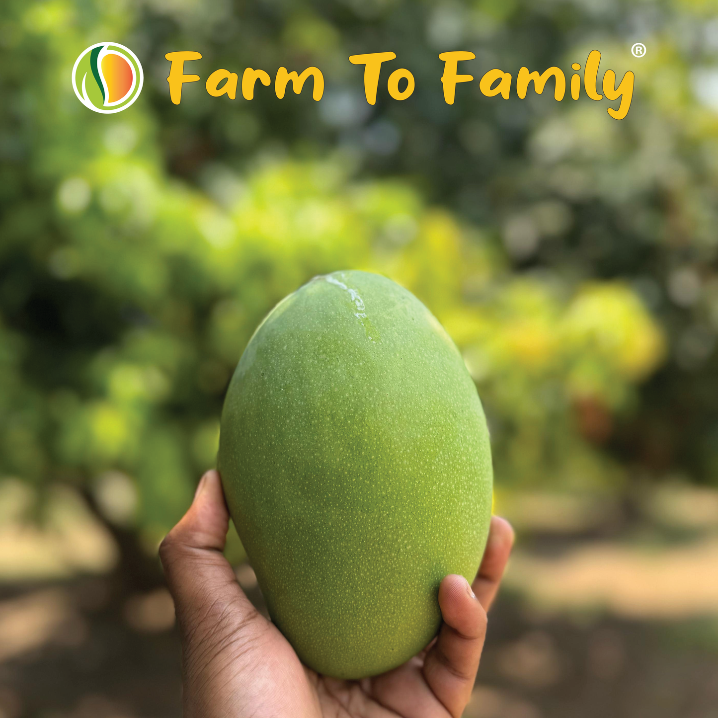 Imam Pasand Mango