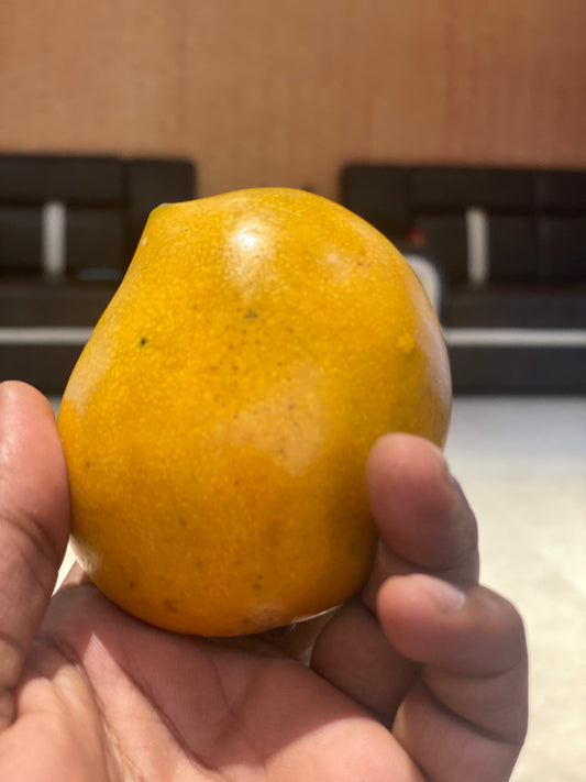 Organic Kalapad Mango